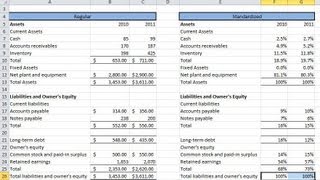 Financial Statement Analysis 1 Common Size Statements and Operation Analysis [upl. by Bryan]