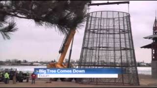 Big Bentleyville tree says byebye for season [upl. by Aneloc]