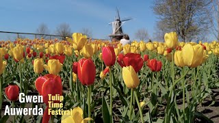 Tulip Time Festival  Holland Michigan [upl. by Er]