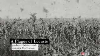 A Plague of Locusts  Nebraska Stories [upl. by Irtimid]