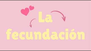 ¿Cómo sucede la fecundación [upl. by Noskcaj]