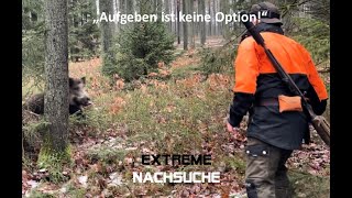 Nachsuchen mit dem Schweisshund  Aufgeben ist keine Option [upl. by Antonella]