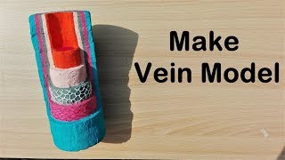 How to make Vein Model  3d thermocolStyrofoam Projects [upl. by Akkim]