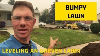 Leveling an uneven lawn in Edmonton [upl. by Hillery]