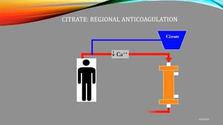 Citrate Anticoagulation Quick Review [upl. by Hayimas319]