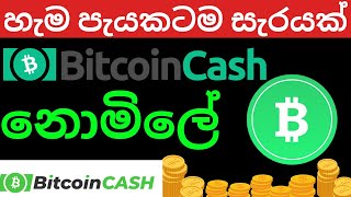 today bch crypto earn app free crypto earn app sinhala crypto earn app 2023 [upl. by Accebor]