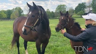 Songbird Celebrates Her Second Mothers Day [upl. by Nyl]