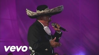 Vicente Fernández  El Rey En Vivo [upl. by Ardried]