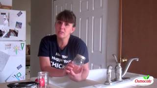 How to Ferment Tomato Seeds [upl. by Turne]