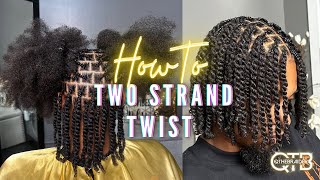 Perfect Two Strand Twist [upl. by Maynord295]