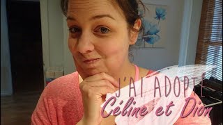 JAI ADOPTÉ CÉLINE ET DION  RECETTE WEIGHT WATCHERS [upl. by Sue179]