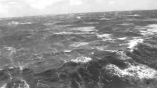 Ferry Crossing from Newfoundland to Nova Scotia [upl. by Leba]