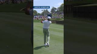 BEST PGA Shots of 2024 You Wont Believe Happened shorts golf [upl. by Olleina]