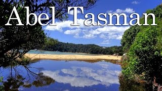 뉴질랜드 트레킹 아벨타즈만 트랙 Abel Tasman New Zealand [upl. by Mayeda26]