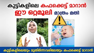 കഫക്കെട്ട് മാറാൻ ഈ ഒറ്റമൂലി മാത്രം മതി  kapha kettu maran ottamooli  Arogyam [upl. by Imit]