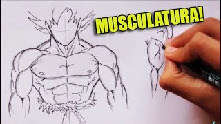 Como Dibujar Musculatura Estilo Dragonball  How to Draw Dragonball Style Musculature [upl. by Kinnie717]