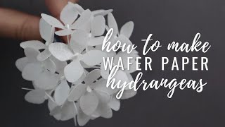 Wafer Paper Hydrangeas for cake decorating  Filler flower tutorial [upl. by Chrotoem888]