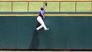 Greatest Catches in MLB History [upl. by Ap]