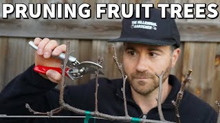 How To Prune Fruit Trees For SMALL Size And MAXIMUM Production [upl. by Poland]