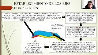 EMBRIOLOGÍA TERCERA SEMANA DE DESARROLLO DISCO GERMINAL TRILAMINAR [upl. by Lurie]