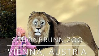 SCHÖNBRUNN ZOO in Vienna Austria [upl. by Redlac]