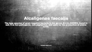 Medical vocabulary What does Alcaligenes faecalis mean [upl. by Alarise]