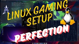 My Linux Gaming Setup  Perfection 👀 [upl. by Halilak]