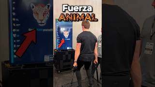 ¿De qué animal tienes la fuerza🦁 [upl. by Tristam400]