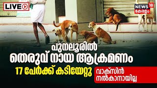 LIVE  Stray Dog Attack In Kerala  Punalur Taluk Hospital  17 Injured Rabies Vaccine Kerala News [upl. by Calvano]