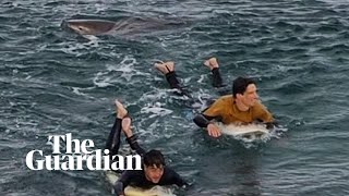 Surfer escapes shark attack at Bells Beach Australia [upl. by Moureaux]