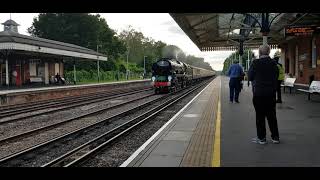 35028 Clan Line hammers through Brookwood Station [upl. by Barolet697]