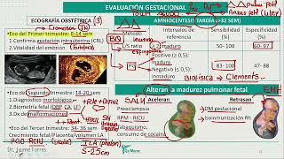 Obstetricia  Evaluación gestacional 3 [upl. by Carpenter]