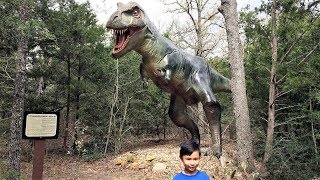 Dinosaur Park Texas Tour amp Dinosaur Identification HD [upl. by Dianne141]