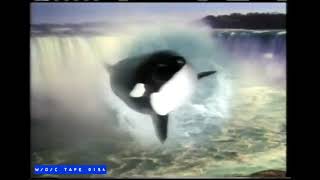 Marineland Commercial 1987 EN [upl. by Welles]