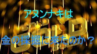 アヌンナキは金の採掘に来たのか？ [upl. by Skell]