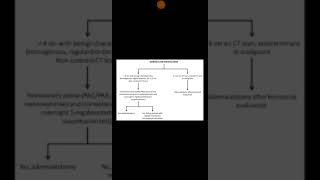 Adrenal incidentaloma [upl. by Haisi223]