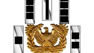 Warrant Officer Selection Board what to expect [upl. by Ilesara]