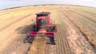 Harvesting Canola in Noble County Oklahoma June 2014 [upl. by Ablem864]