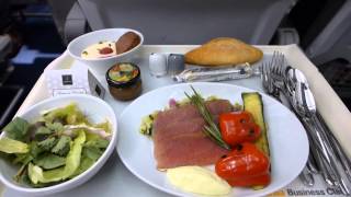 Lufthansa Business Class FrankfurtCairo A321 June 2014 [upl. by Schecter]