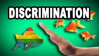 Learn English Words  DISCRIMINATION  Meaning Vocabulary with Pictures and Examples [upl. by Hasen900]