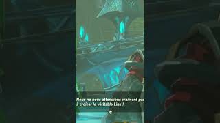 bévue en live 9  IIIIII zelda fr totk gaming live twitch clips [upl. by Anoblav]