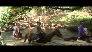 Marmaris Horse Riding wwwcaroletayfuncom [upl. by Pius]