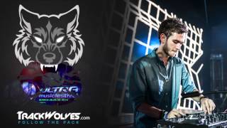 Zedd  Live  Ultra Music Festival Miami  28032014 [upl. by Leirad]