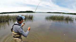 PESCA ENTRE LOS JUNCOS DE LA LAGUNA CON LINDAS SORPRESAS [upl. by Hgierb913]