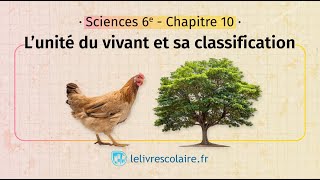 L’unité du vivant et sa classification Sciences et Technologie 6e [upl. by Erich]