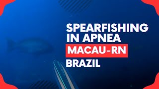 🎣 SPEARFISHING IN APNEA  MACAURN BRAZIL 🌊🐟 spearfishing fishing submarinefishing [upl. by Dranik]