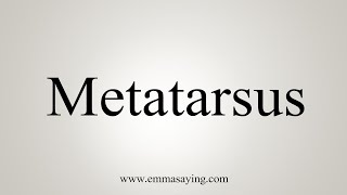 How To Say Metatarsus [upl. by Tertia]