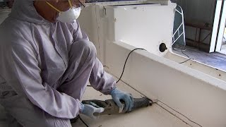 Taco Marine Project Boat on Ship Shape TV Part 7 – Replacing the Transom [upl. by Annagroeg]