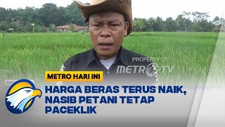 Harga Beras Terus Naik Nasib Petani Tetap Paceklik [upl. by Chao]