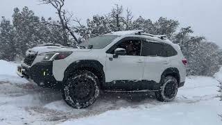 Two Forester Wilderness Offroad in the Snow [upl. by Adalheid]